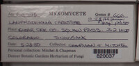 Image Associated With the Occurence